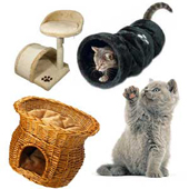 Accesorii Pisici