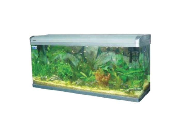 Preturi Animale de companie - Shenzen - ACVARIU BL 1500F
