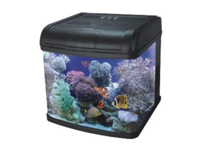 Preturi Animale de companie - Shenzen - ACVARIU DMS 500 PL