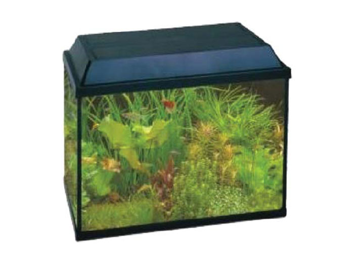 Preturi Animale de companie - Shenzen - ACVARIU SM 600
