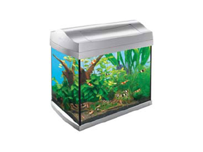 Preturi Animale de companie - Tetra - ACVARIU TETRA 20l