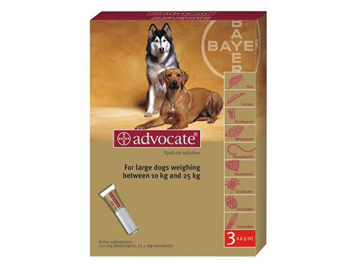 Preturi Animale de companie - Bayer - Advocate 250 (10-25 kg)
