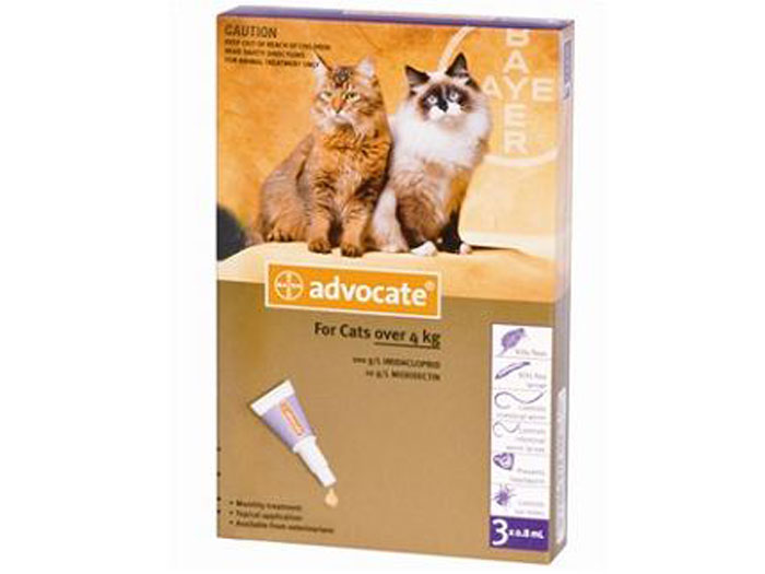 Preturi Animale de companie - Bayer - Advocate 80