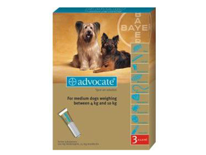 Preturi Animale de companie - Bayer - Advocate 100 (4-10 kg)
