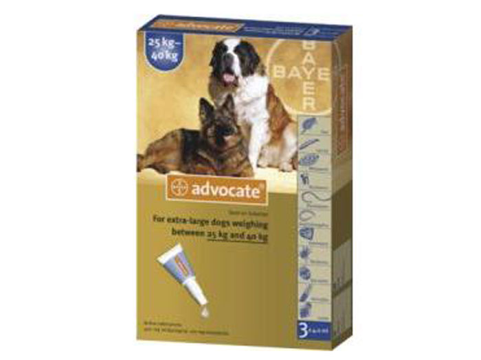 Preturi Animale de companie - Bayer - Advocate 400 (peste 25 kg)