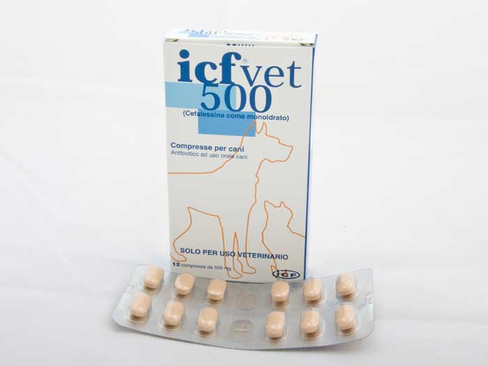 Preturi Animale de companie - ICF Vet - ICFVET 500 6gr