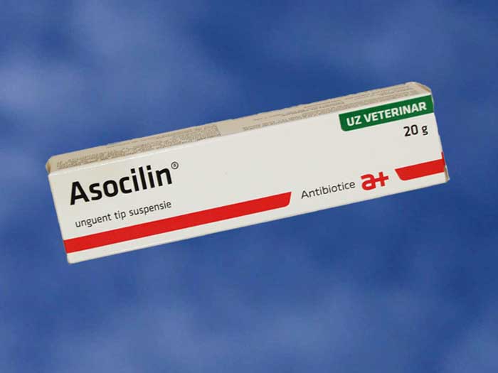 Preturi Animale de companie - Antibiotice-Iasi - Asocilin 20 gr