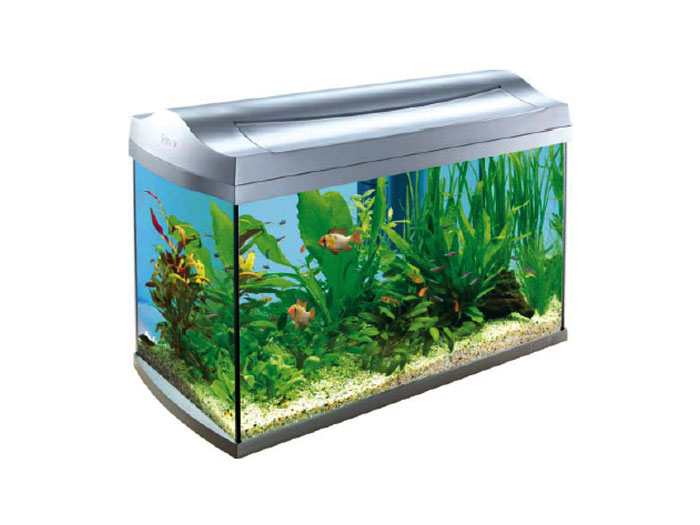 Preturi Animale de companie - Tetra - TETRA ACVARIU 60 L