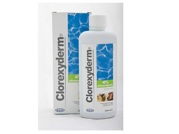 Preturi Animale de companie - ICF Vet - CLOREXYDERM SHAMPOO 4% 250ml