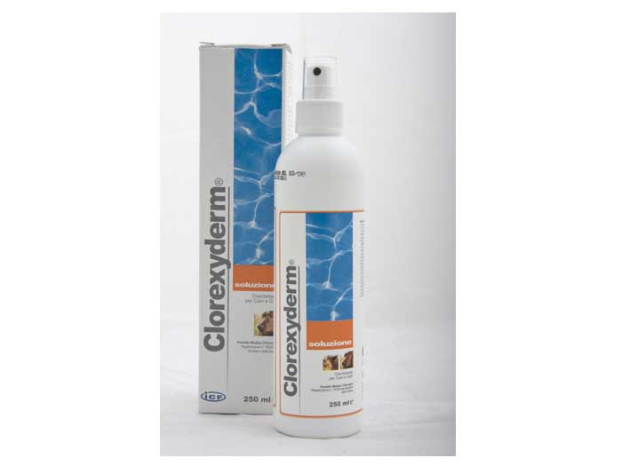 Preturi Animale de companie - ICF Vet - CLOREXYDERM SOLUZIONE 250ml