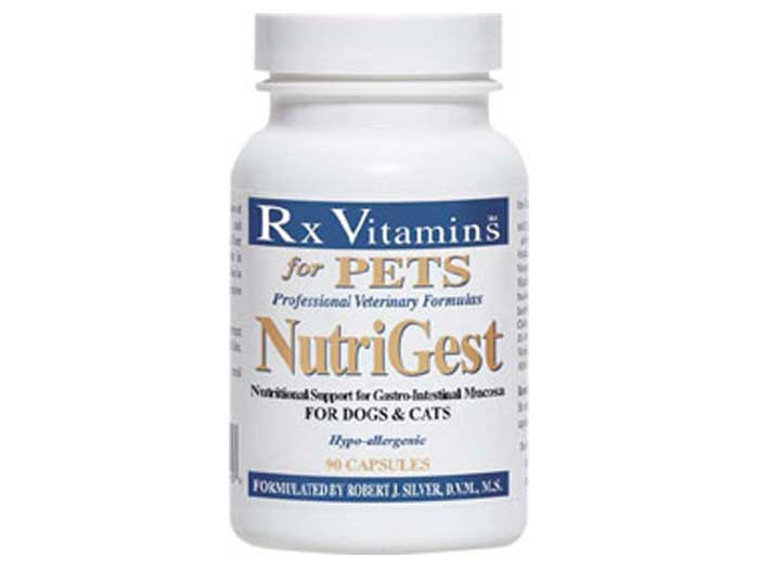 Preturi Animale de companie - Rx Vitamins - RX Nutrigest 90 tbl
