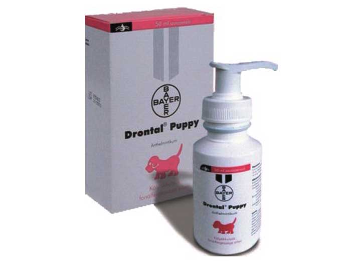 Preturi Animale de companie - Bayer - Drontal Puppy 50 ml