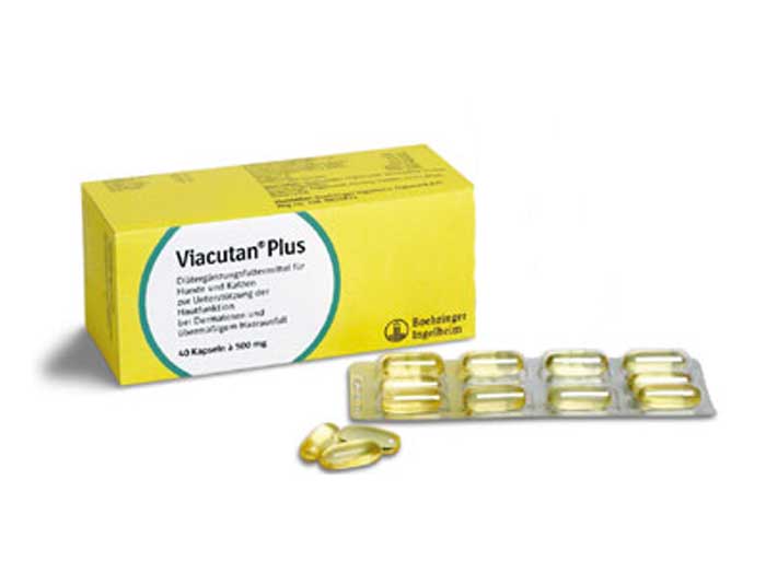 Preturi Animale de companie - Boehringer Ingelheim - Viacutan Plus 40 capsule