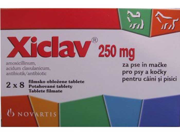 Preturi Animale de companie - Novartis - XICLAV 250mg
