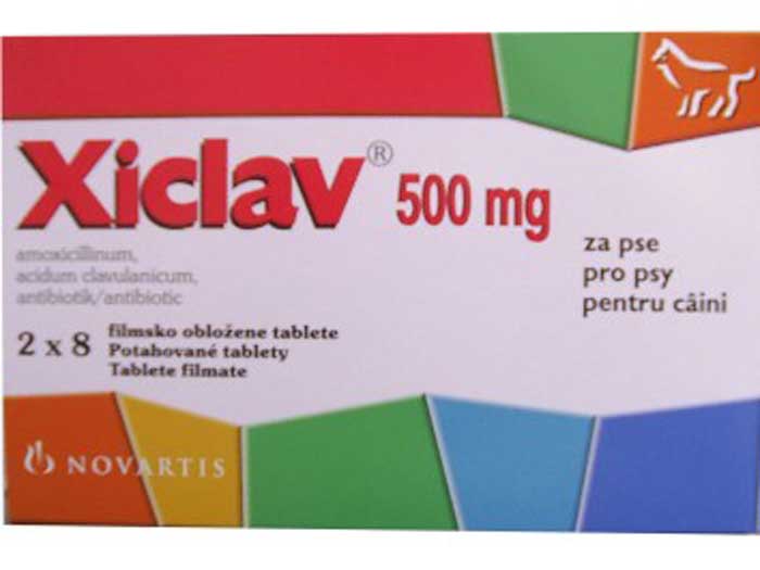 Preturi Animale de companie - Novartis - XICLAV 500mg