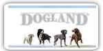 DOGLAND Producatori Dogland - Hrana Economica Caini - PetMart Pet Shop Online
