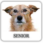 Senior Senior