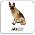 Adult Hrana Economica Caini - Adult - PetMart Pet Shop Online