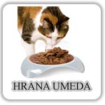 Hrana Umeda Pisici Hrana Umeda Pisici