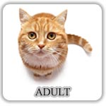 Hrana Pisici Umeda- Adult - PetMart Pet Shop Online