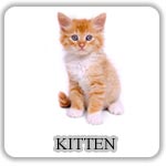 Hrana Pisici Umeda- Kitten - PetMart Pet Shop Online