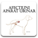 Royal Canin Diete Veterinare Afectiuni Aparat Urinar Caini