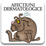 Royal Canin Diete Veterinare Afectiuni Dermatologice Caine