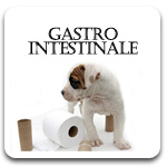 Royal Canin Diete Veterinare Afectiuni Gastro Intestinale Caini