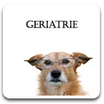 Royal Canin Diete Veterinare Geriatrie  Caini