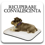 Royal Canin Diete Veterinare Recuperare / Convalescenta  Caini