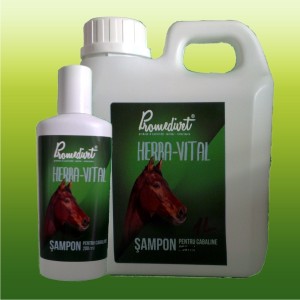 Unguente antiinflamatoare reumatice pentru cai
