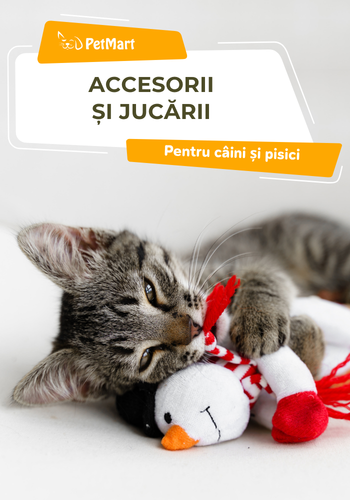 Accesorii si jucarii