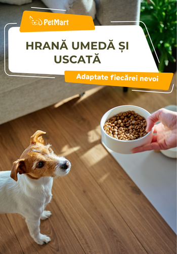Hrana animale